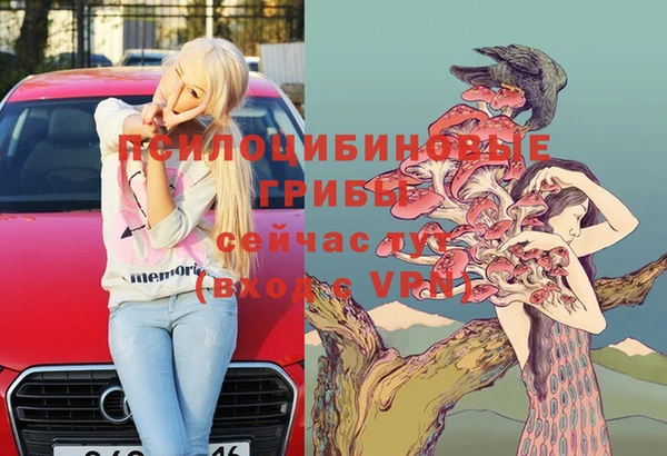 шишки Алексеевка